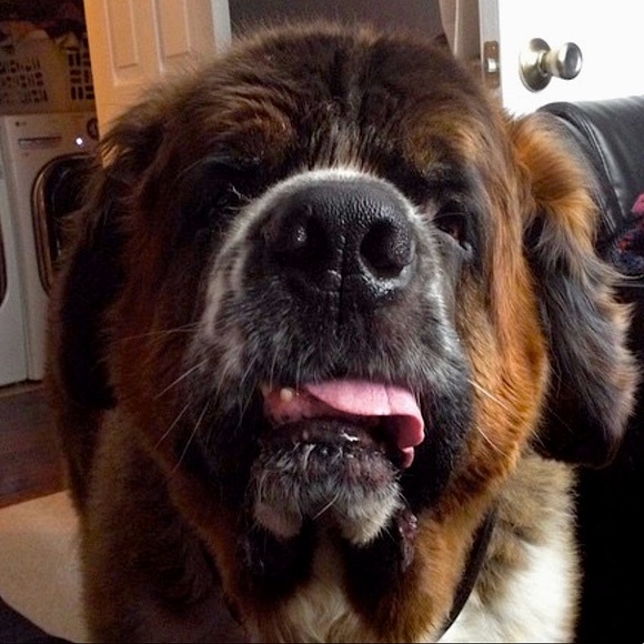 Meet your Posher, Jamie - Picture 5 of 7